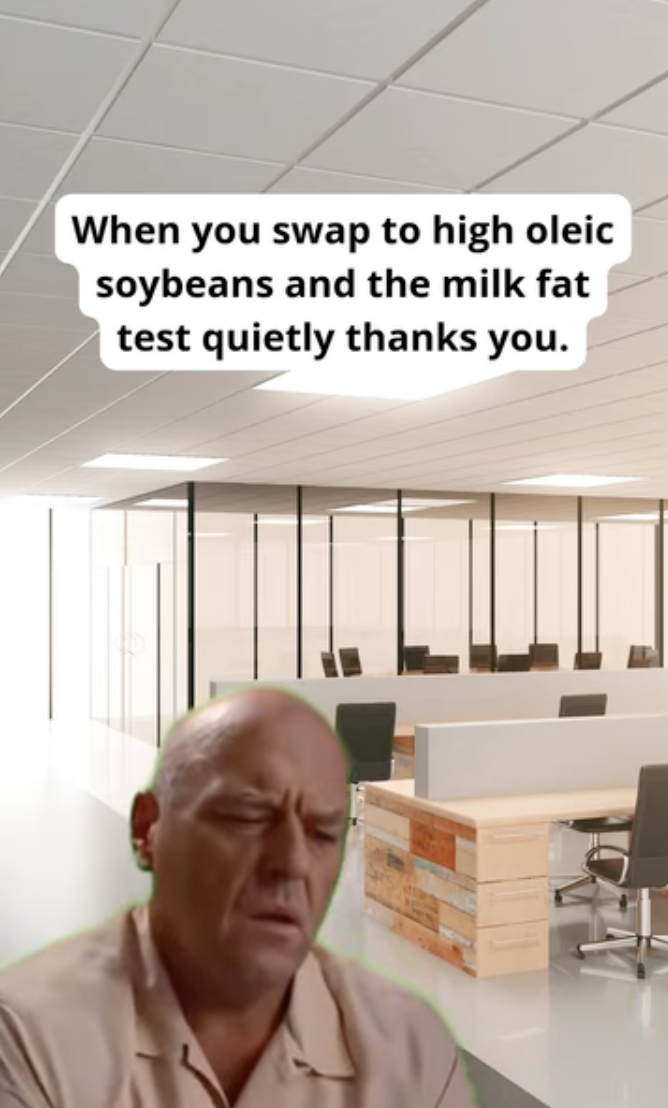 Sometimes progress is just knowing which fatty acid won't ruin your week.